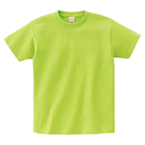 Printstar ヘビーウェイトTシャツ（ライトグリーン）